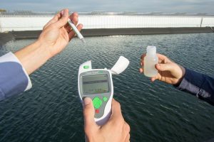 Afbeelding Meten is weten – Paprikakwekerij Reinier Janssen