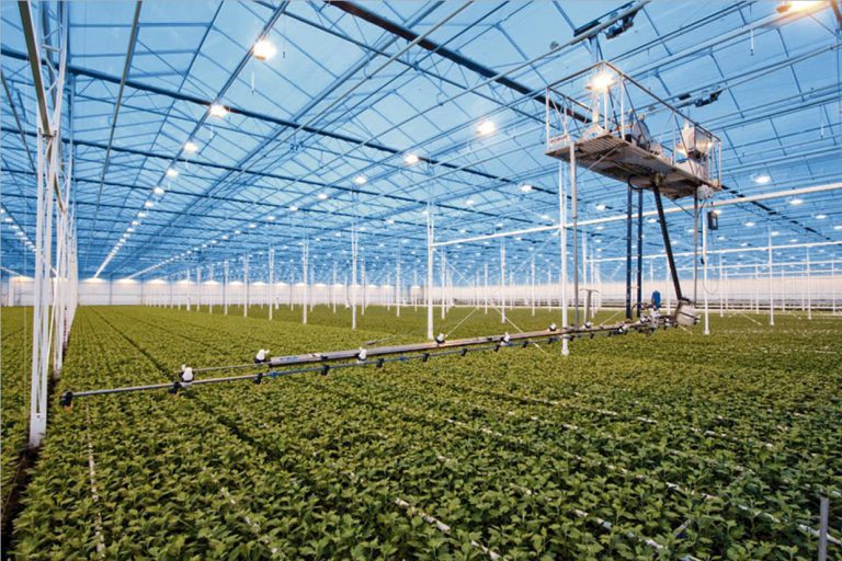 Afbeelding Bodemleven stimuleren