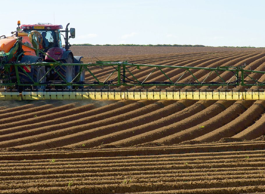 Afbeelding Bodem bepaalt dosering herbicide