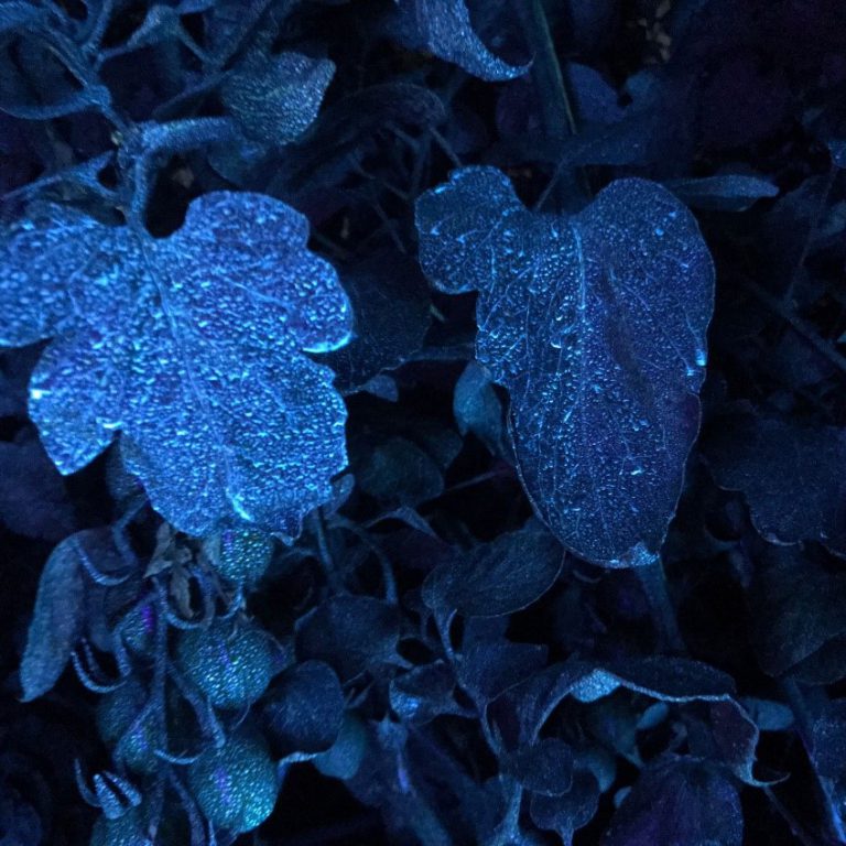 Afbeelding Aandacht voor spuittechniek