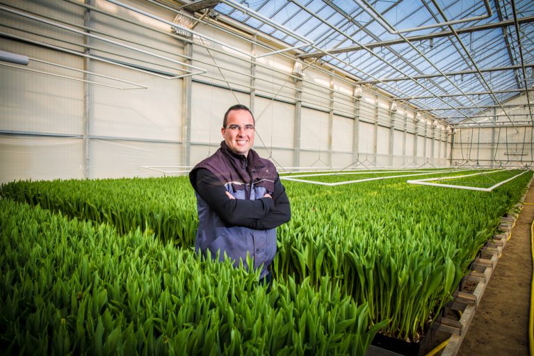 Afbeelding Bollenteler kiest ontsmettingstechniek vanuit de glastuinbouw