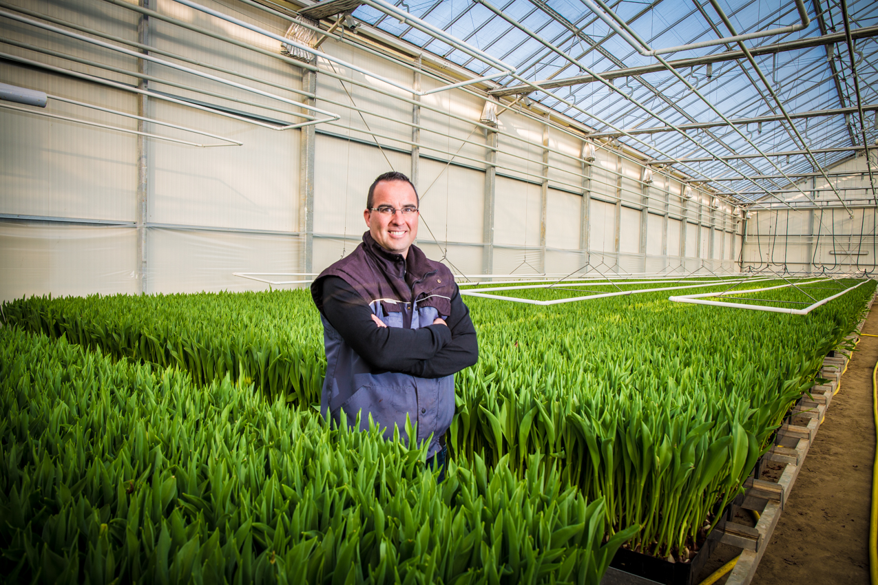 Afbeelding Bollenteler kiest ontsmettingstechniek vanuit de glastuinbouw