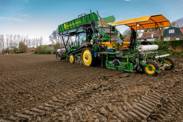 Afbeelding Bloembollen telen anno morgen