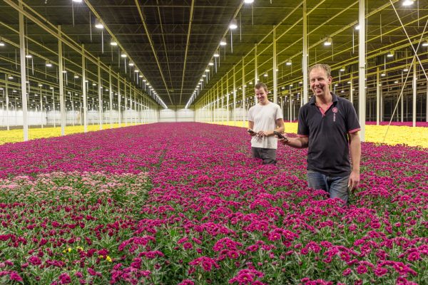 Afbeelding Waarom gebruik ik Mijn Iperen elke dag?