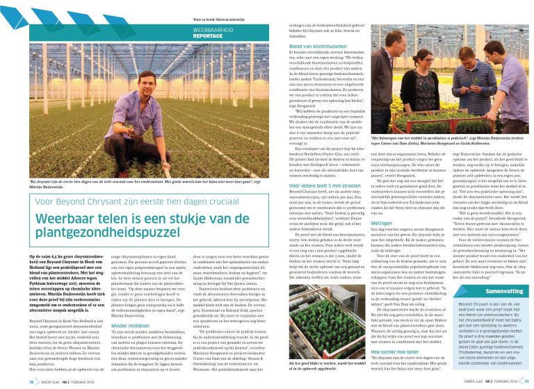 Afbeelding Van Iperen in Onder Glas