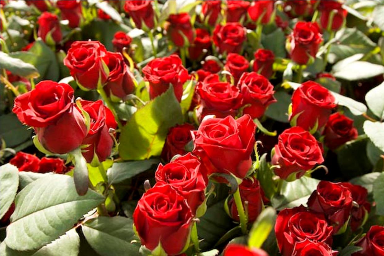 Afbeelding Angst is een slechte raadgever