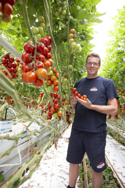 Afbeelding Tomaten houden van schoon water