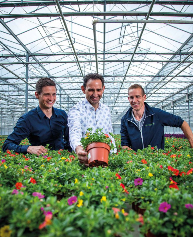 Afbeelding Groeiregulatoren in de sierteeltsector