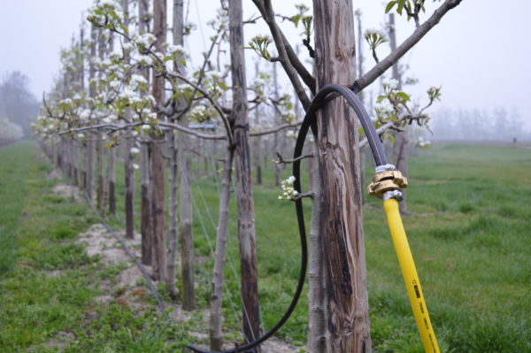Afbeelding Bemesting, het draait om de balans!