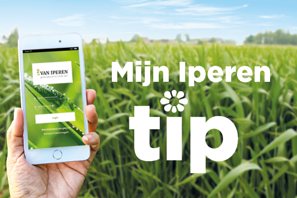 Afbeelding Digitale ondersteuning