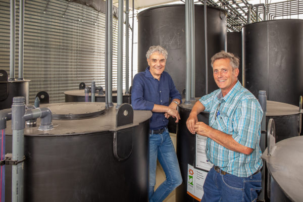 Afbeelding “Aardbeien telen onder glas is iedere dag een uitdaging”