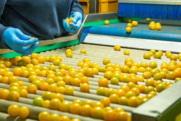 Afbeelding “We lopen voorop in de sector en die positie willen we graag vasthouden”