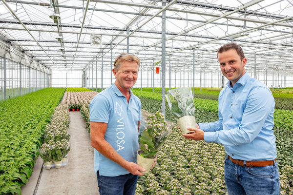 Afbeelding Over snoepjes en de medicijnkast