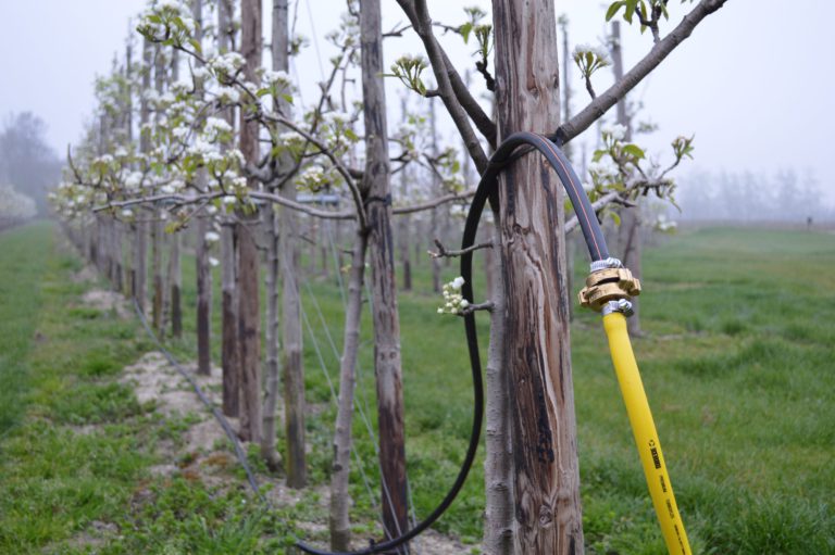 Afbeelding Resultaten fertigatieproef 2019