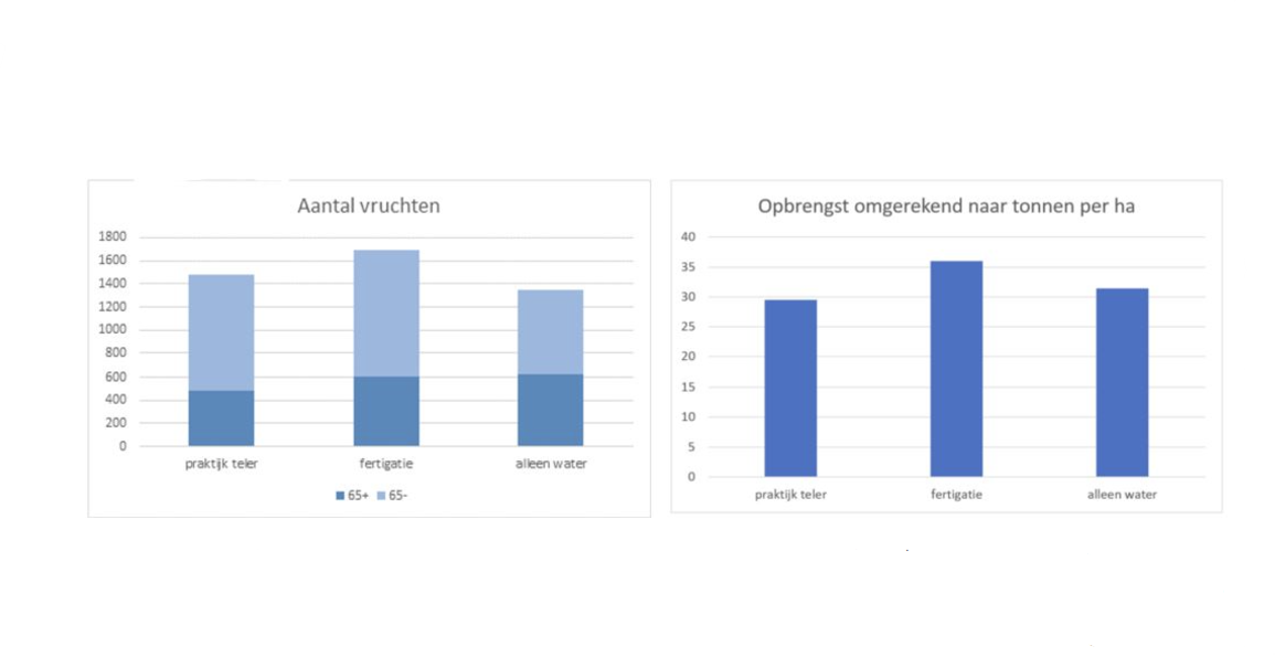 Afbeelding Resultaten fertigatieproef 2019