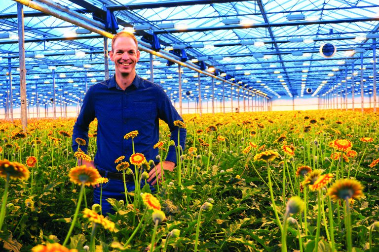 Afbeelding Biologisch werken geeft zuiverder beeld planteigenschappen