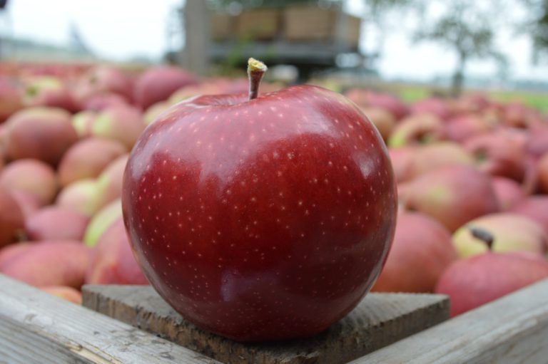 Afbeelding Gewasbeschermingsmonitor
