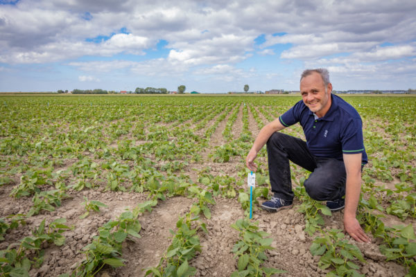 Afbeelding Gewasbescherming