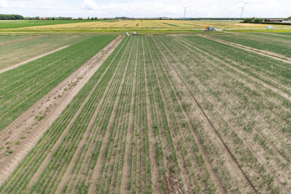 Afbeelding Eerst water, de rest komt later!