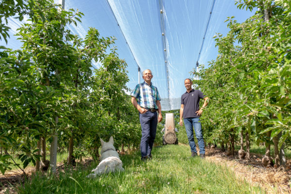 Afbeelding Fruit telen in de toekomst