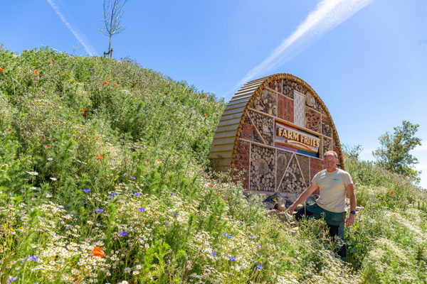 Afbeelding ‘Eiken: de McDonald’s voor insecten’