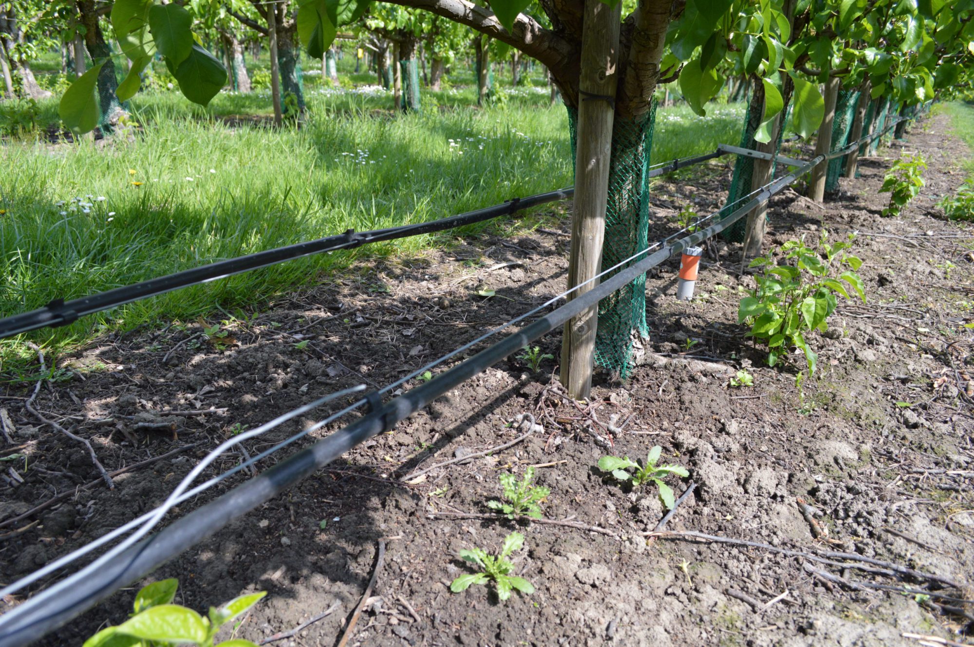 Afbeelding Fertigatie