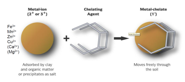 Afbeelding Bladbemesting met Hortispoor Mix Vloeibaar: lage dosering, hoge effectiviteit!