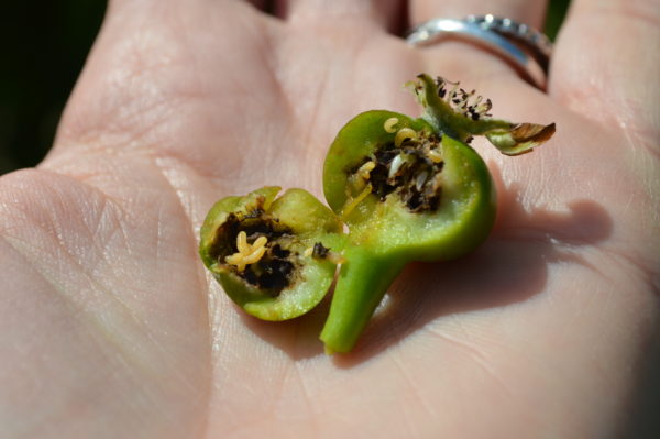 Afbeelding Een (dik)kopje kleiner met de juiste timing