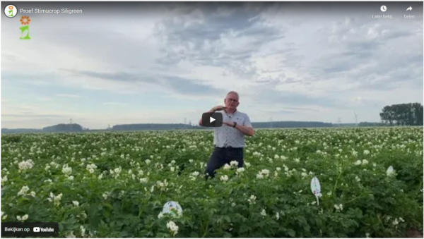 Afbeelding Silicium(zuur) voor een weerbare, sterke plant waarvan je kwaliteit oogst