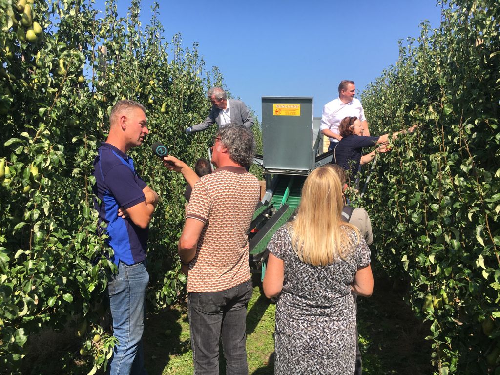 Afbeelding Burgemeesters ingelicht over de aanpak van ziekten en plagen in de fruitteelt