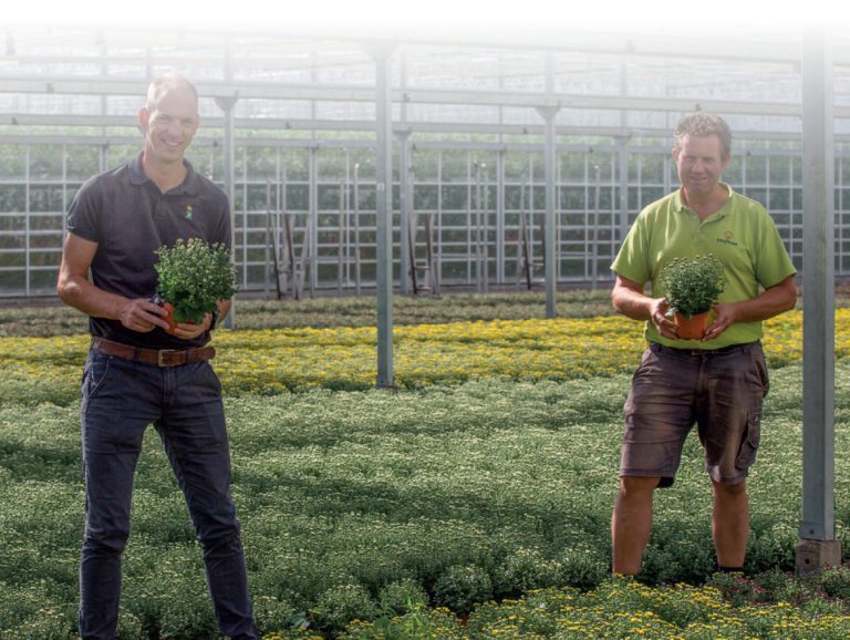 Afbeelding Spidex Vital houdt bij Emsflower spint goed onder de duim