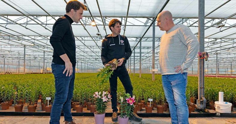 Afbeelding Waterstofperoxide zorgt voor basishygiëne in potlelies