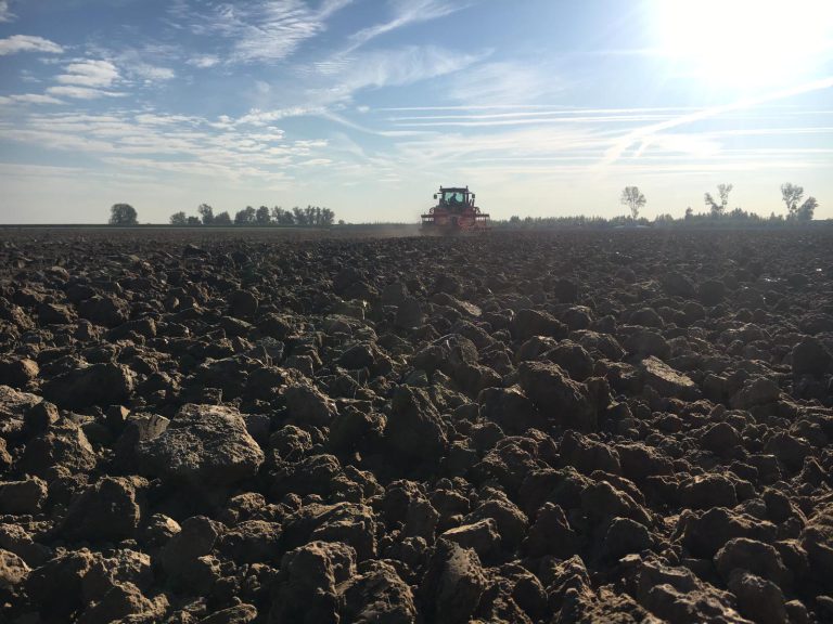 Afbeelding Retourbeleid zomerzaaigraan