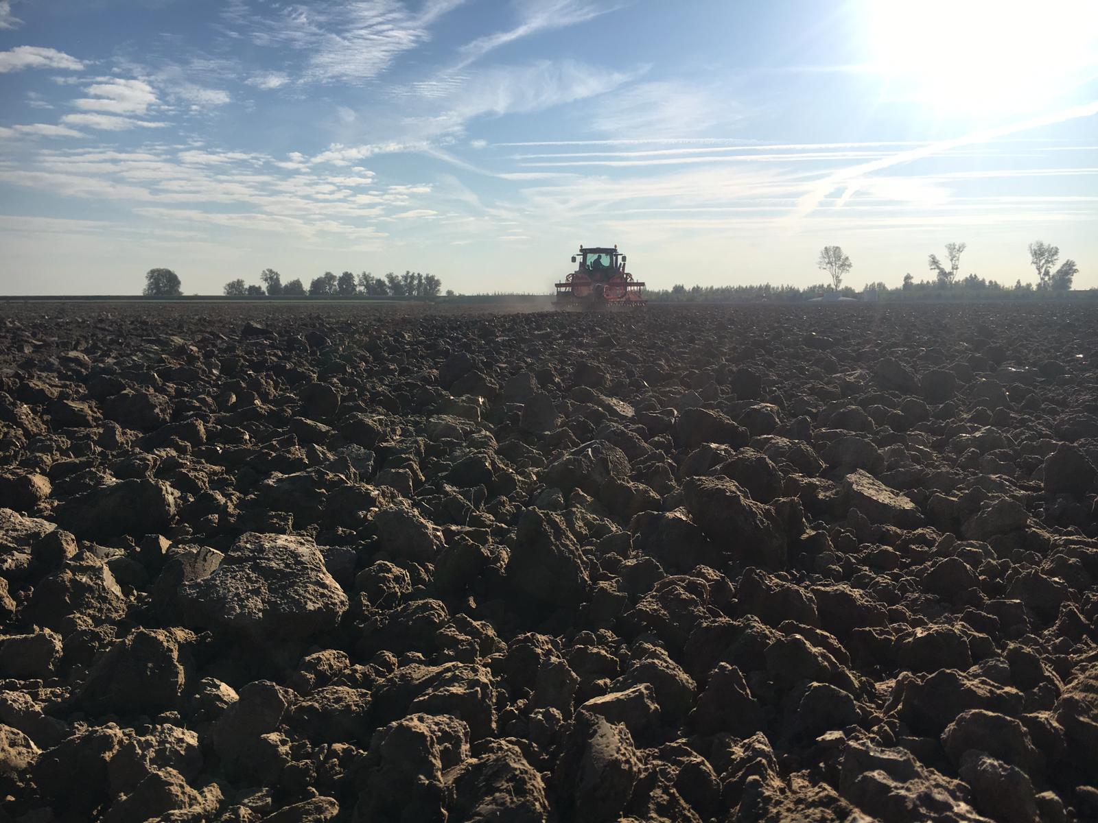 Afbeelding Retourbeleid zomerzaaigraan