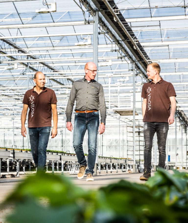 Afbeelding Samen een mooi en schoon product telen