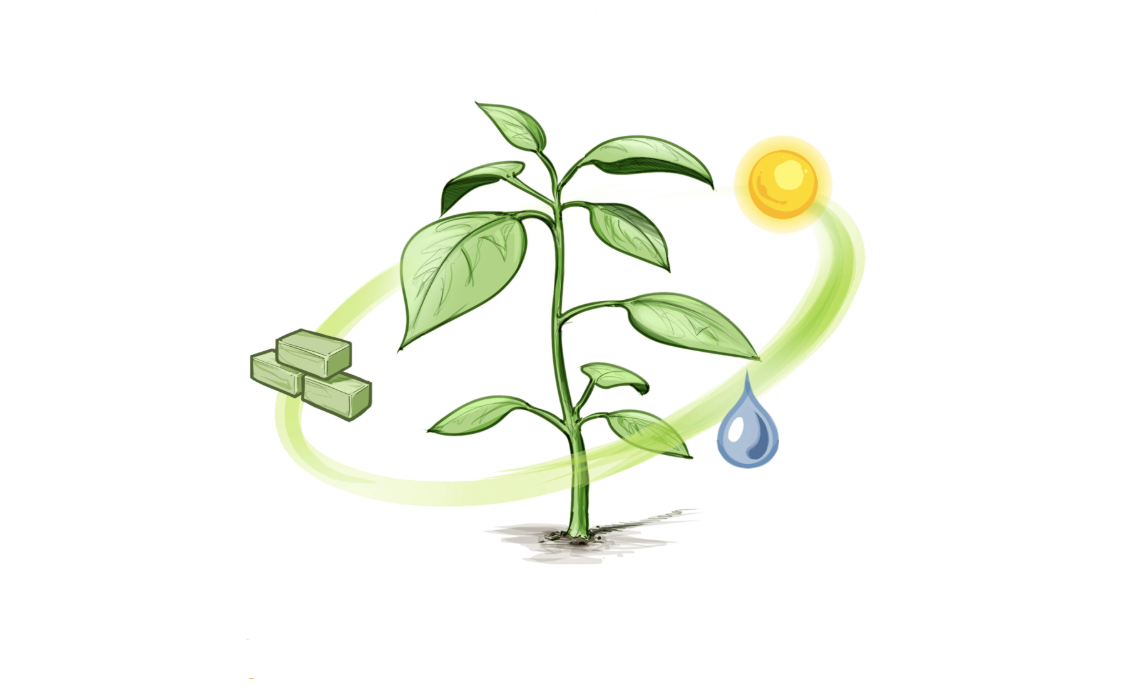 Afbeelding Hoe de Plant Empowerment filosofie telers helpt