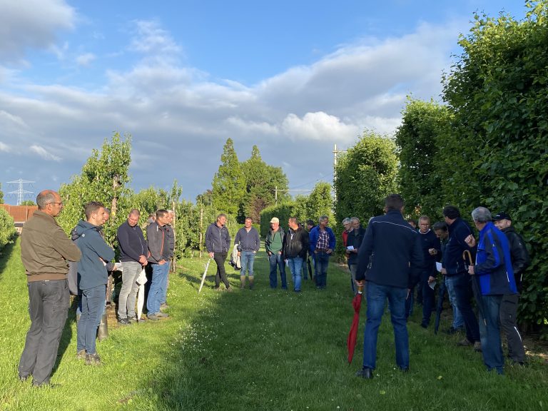 Afbeelding Voorjaarsbijeenkomsten