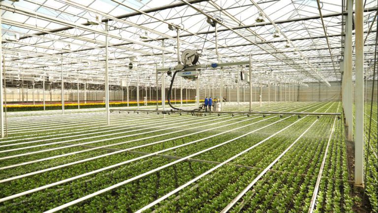 Afbeelding Video: tips uit de tuinbouw – onderhoud van het spuitmateriaal