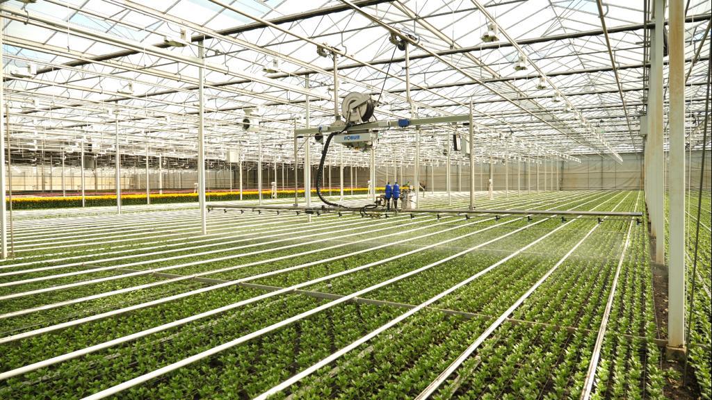 Afbeelding Video: tips uit de tuinbouw – onderhoud van het spuitmateriaal