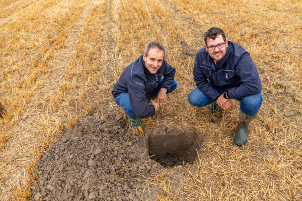 Afbeelding Een gezonde bodem is de basis van de teelt