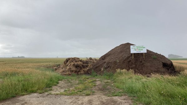 Afbeelding Tips om het organische stofgehalte na de oogst te verbeteren