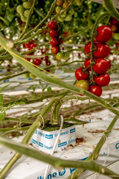 Afbeelding Schoon water bij hoge temperaturen