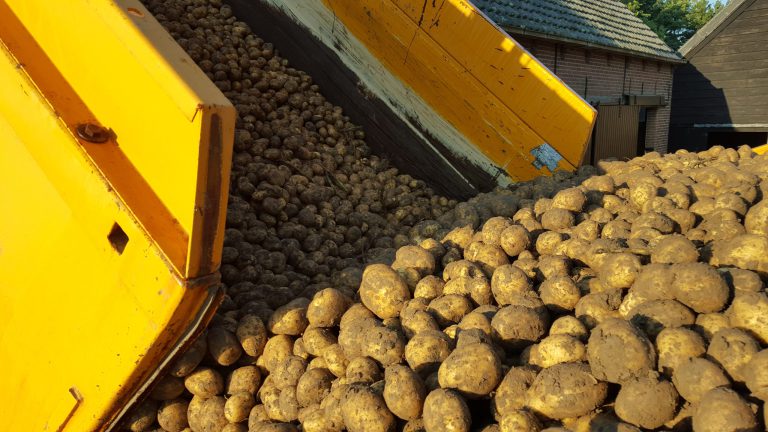 Afbeelding Aardappelbewaring