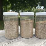 Afbeelding EUROGRASS® Solario in de praktijk: multifunctioneel gras