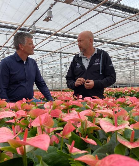 Afbeelding Biologische tripsaanpak in Tinte