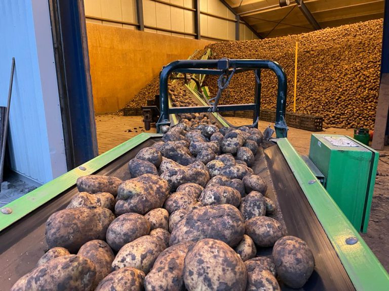 Afbeelding Video: Aardappelgassen