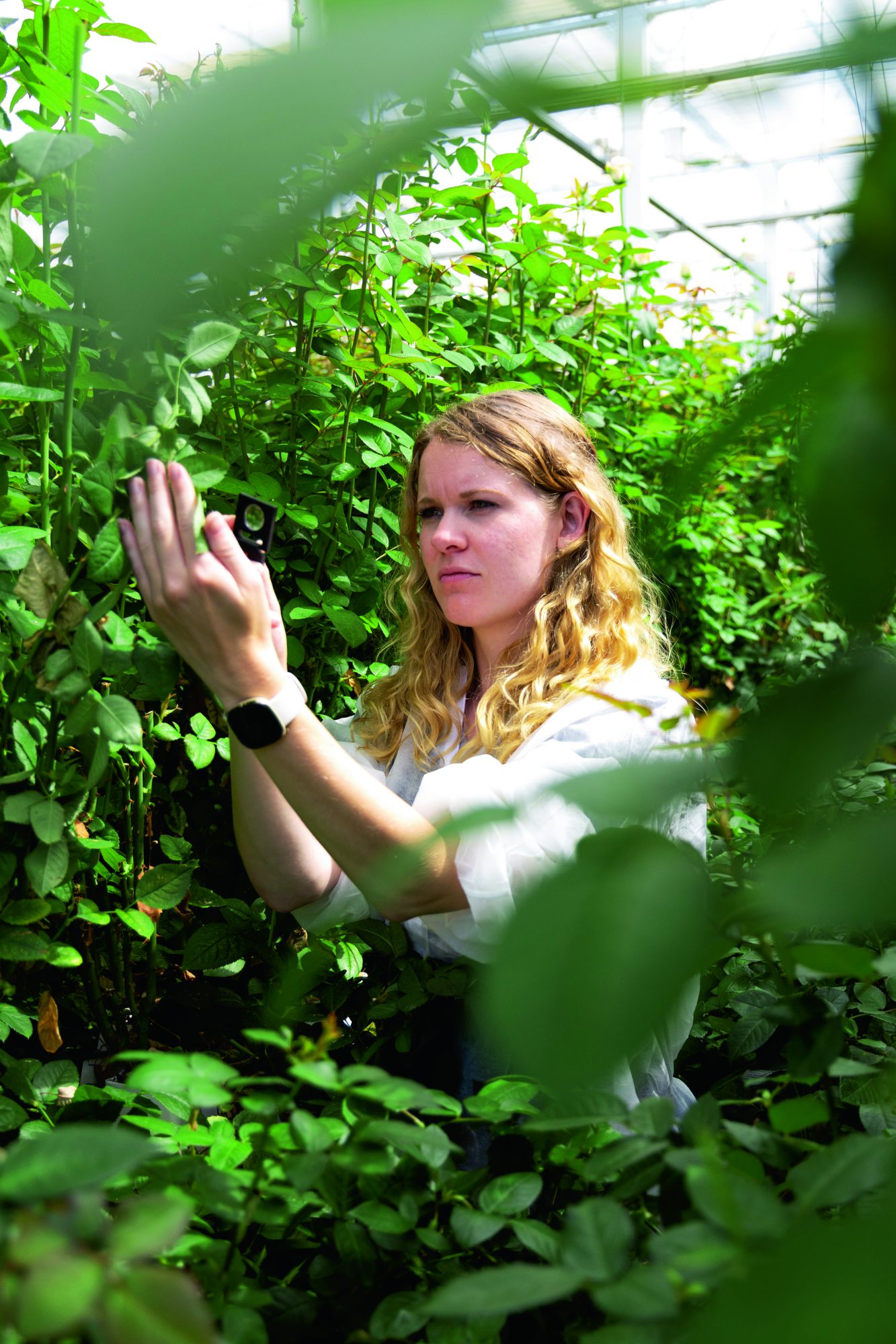 Afbeelding Praktijkonderzoek helpt bij effectiviteit middelen vergroten