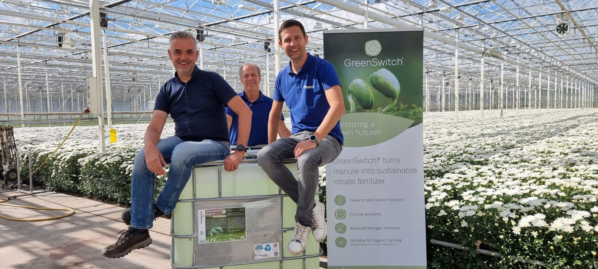 Afbeelding Greenswitch® bij Beyond Chrysant