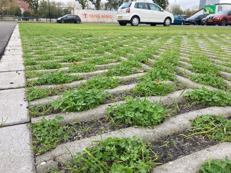 Afbeelding Uitgelicht project: grasparkeren