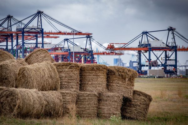 Afbeelding Groen partnerschap op de Maasvlakte
